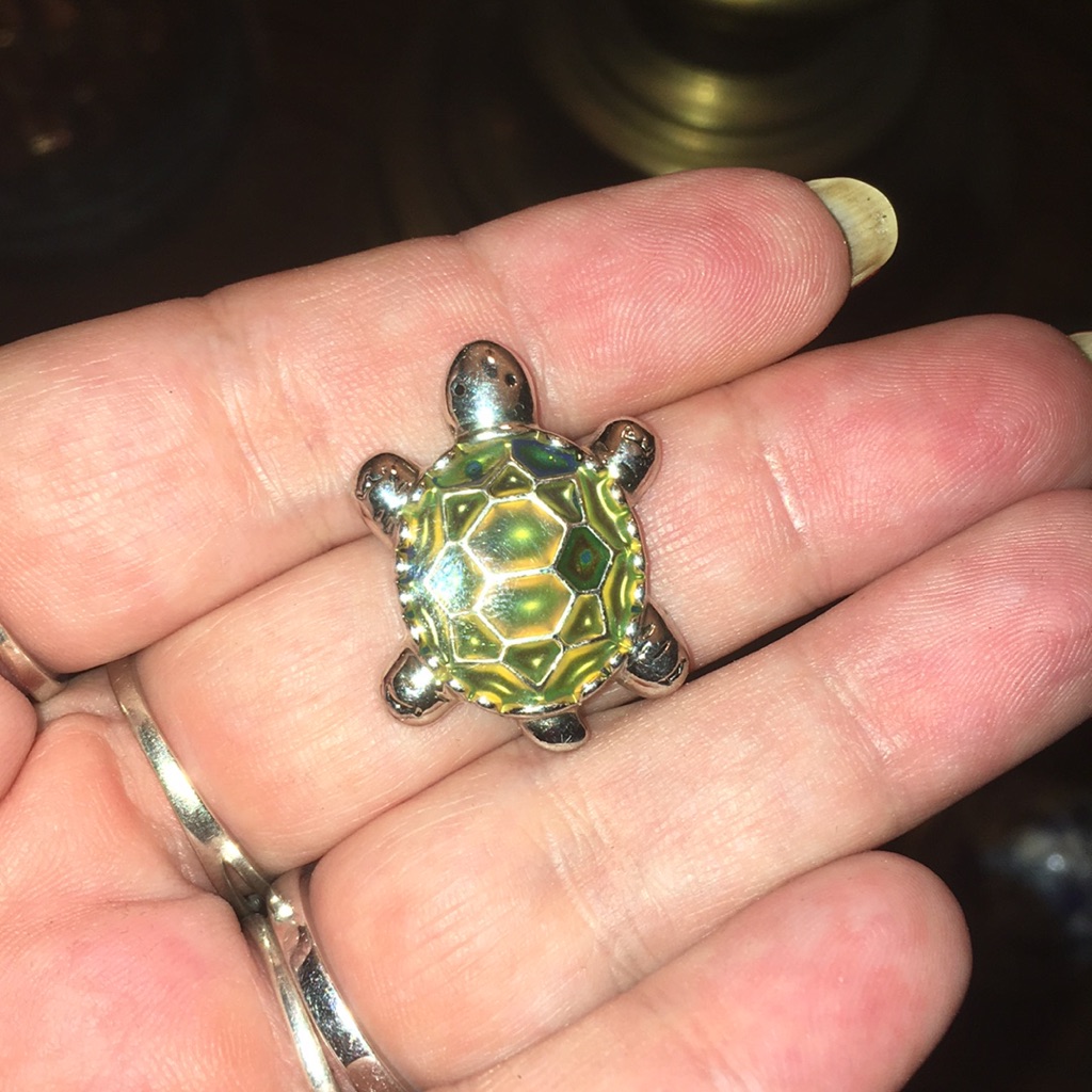 Mood Turtle